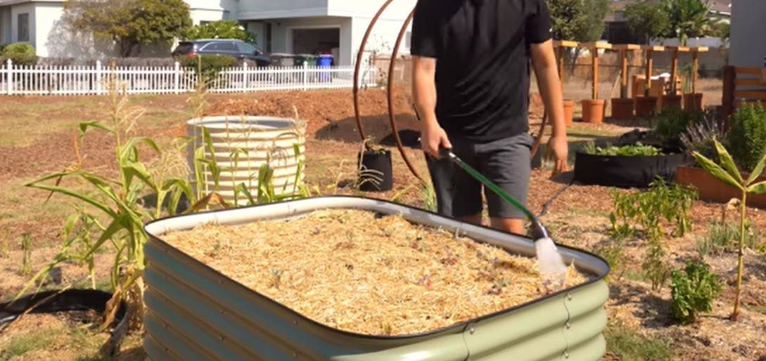 raised garden bed.png