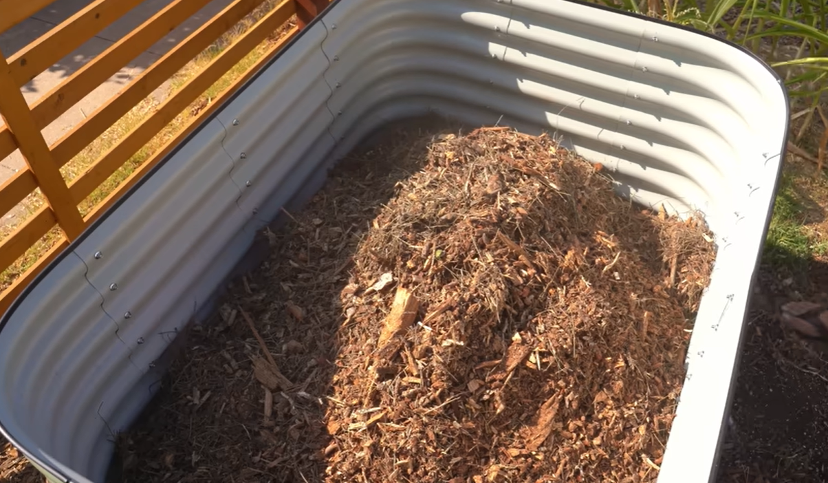 garden bed2.png