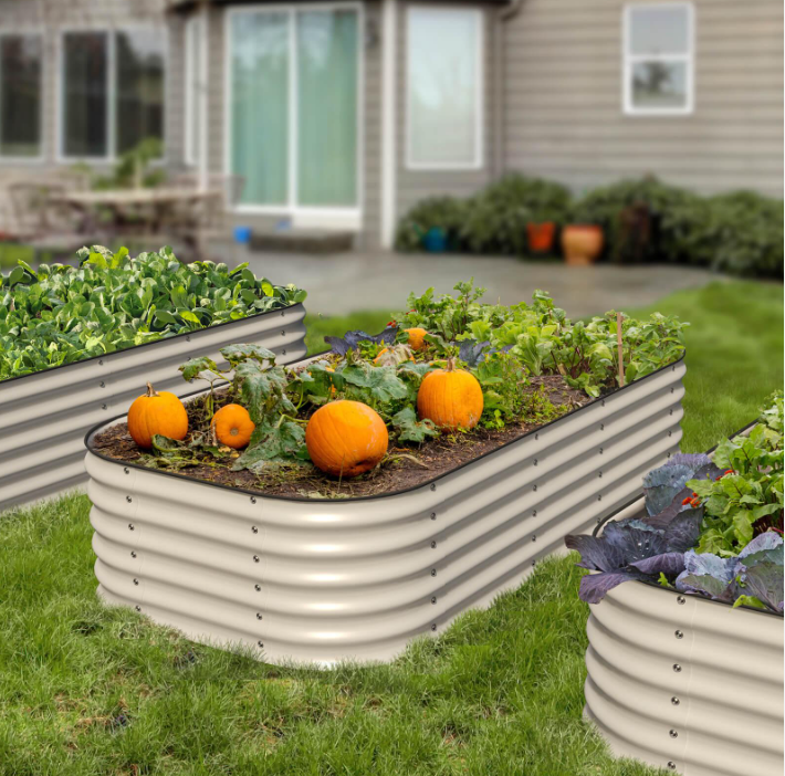 garden bed.png