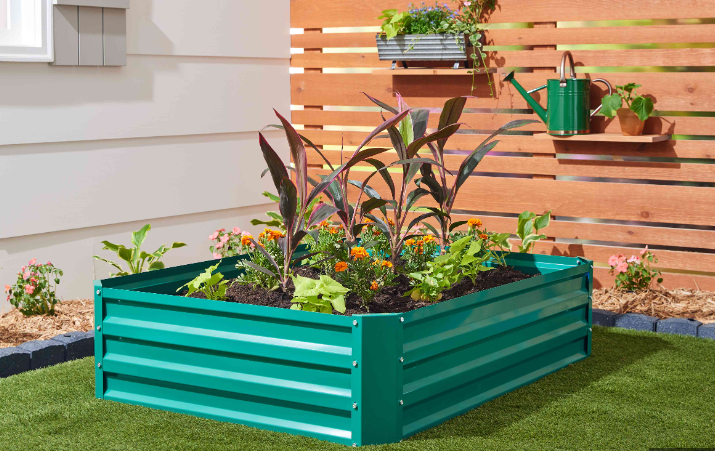 garden bed2.png